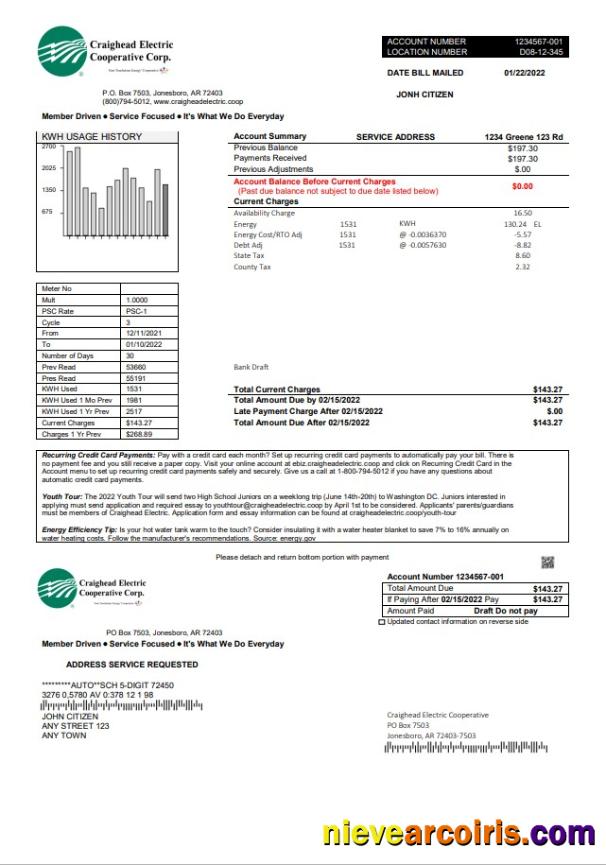 USA Craighead Electric utility bill